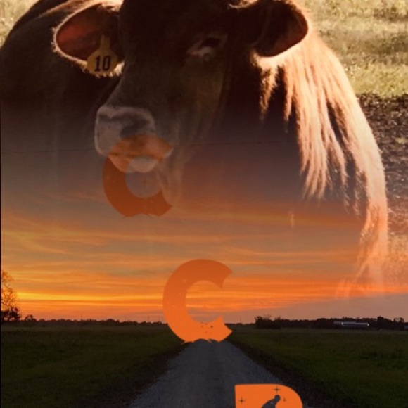 Meet your Posher, Leann - Picture 8 of 11